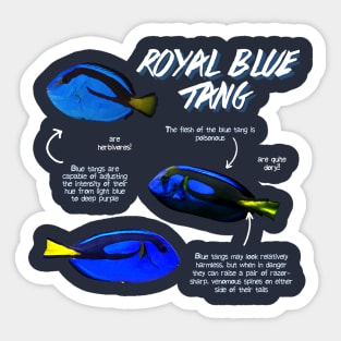 Royal Blue Tang Sticker